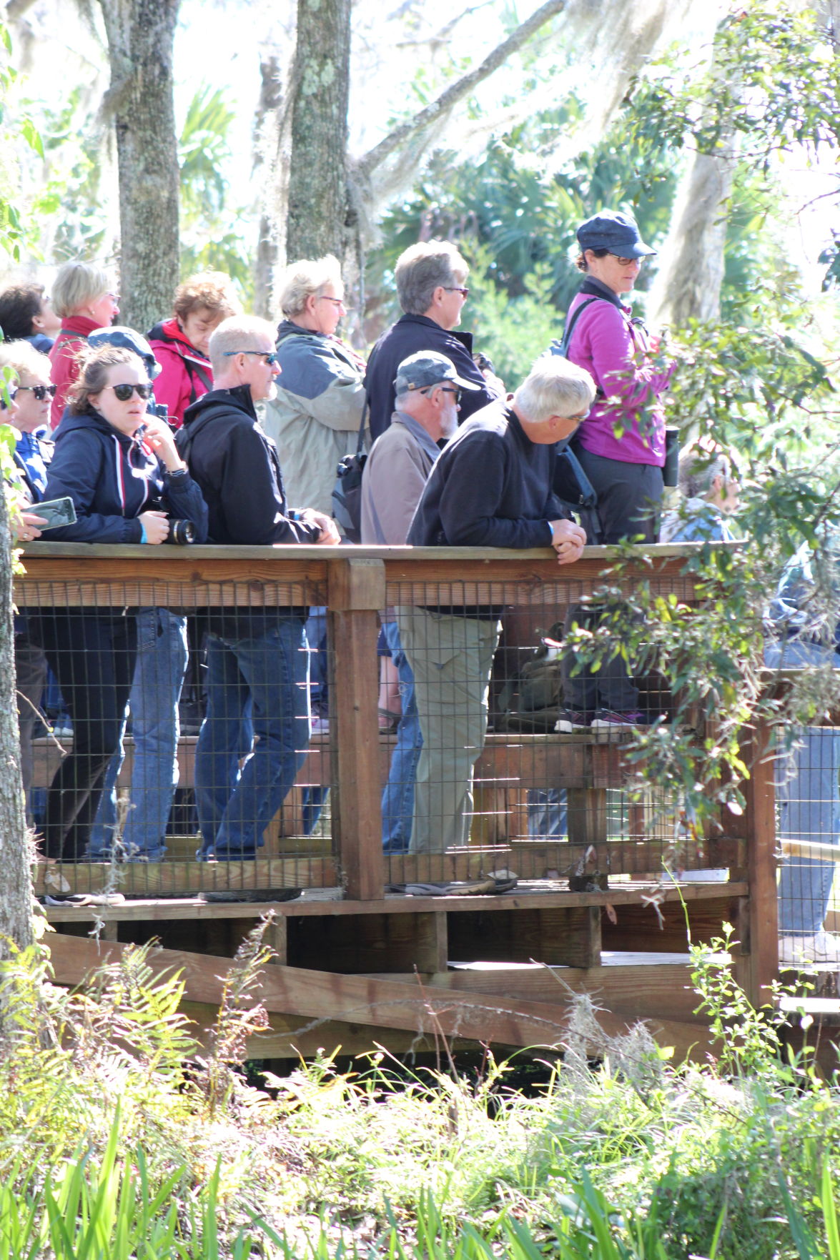 022720_MANATEE_RELEASE_B.JPG